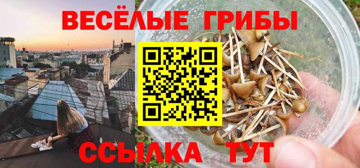 Галлюциногенные грибы мицелий  Вход с VPN  Трёхгорный  Псилоцибиновые грибы прущие грибы 